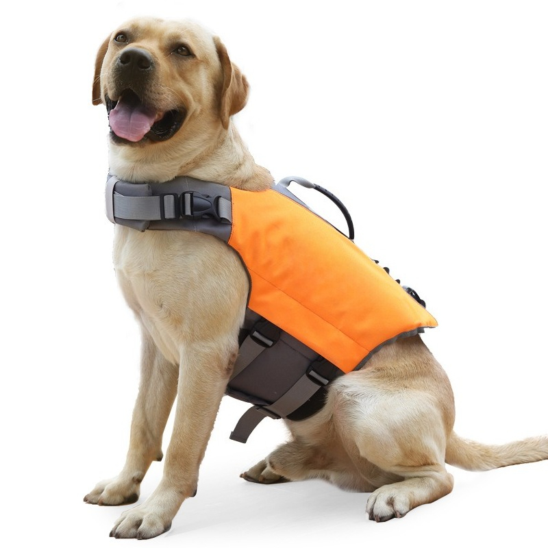 Colete Salva-Vidas para Cães d - Life Jacket Buoyancy avaliação e preço